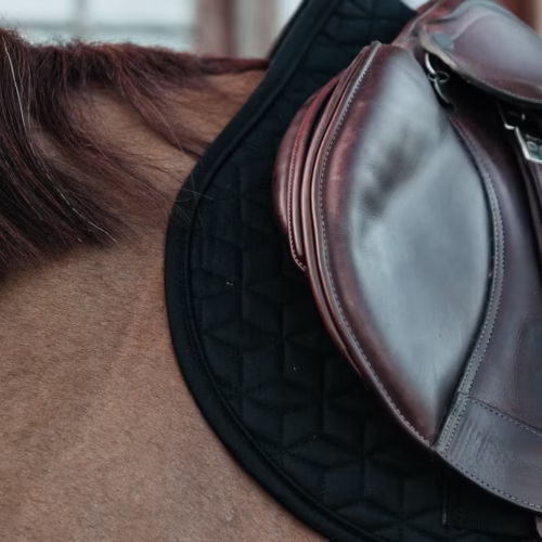 Czarny czaprak z tłoczeniem i ciemnym siodłem na koniu