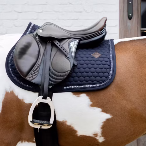 Koń srokaty w czarnym czapraku z siodłem ujeżdżeniowym