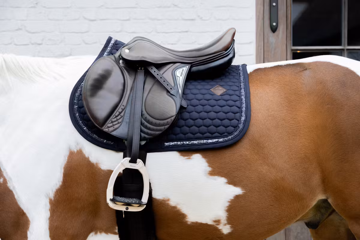 Koń srokaty w czarnym czapraku z siodłem ujeżdżeniowym