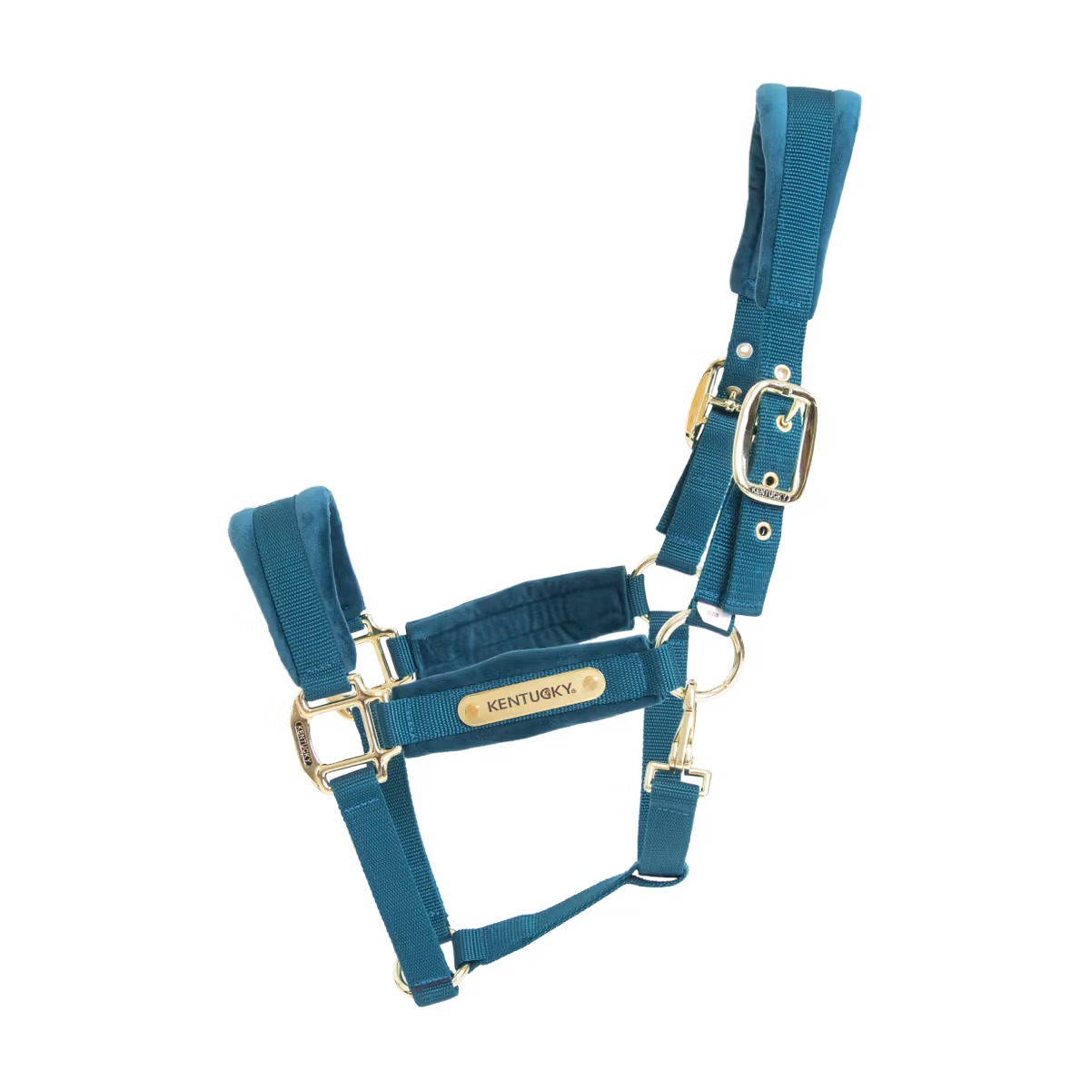 ke Turkusowy kantar z polarem i złotymi elementami, widok produktowy