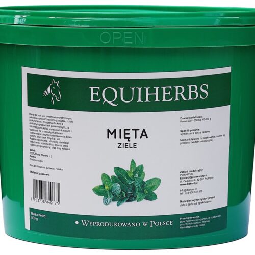 mięta