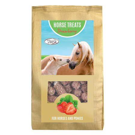 Horse Treats – przysmaki jabłkowe w brązowej torebce z niebieską etykietą