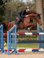 Equestrian Stockholm Czaprak Modern Black - obrazek 4