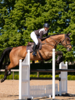 Equestrian Stockholm Czaprak Modern Moonless Night - obrazek 3
